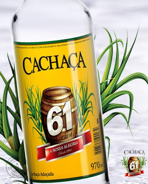 ����� 61