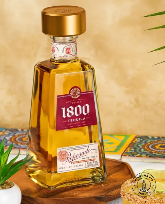 ����� 1800 �������