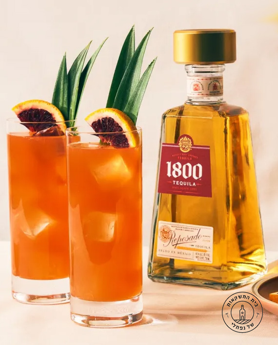 ����� 1800 �������
