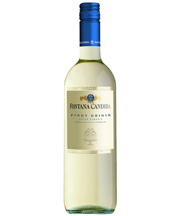 ������ ������ ���� ������ Fontana Candida Pinot Grigio