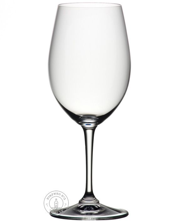 ���� 12 ����� ���� ������ ������ Degustazion
