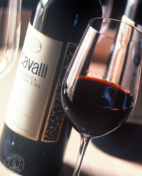���� ������ ���� ������ ������ ���� ���, ������ 2005 - ������� ������� Roberto Cavalli 