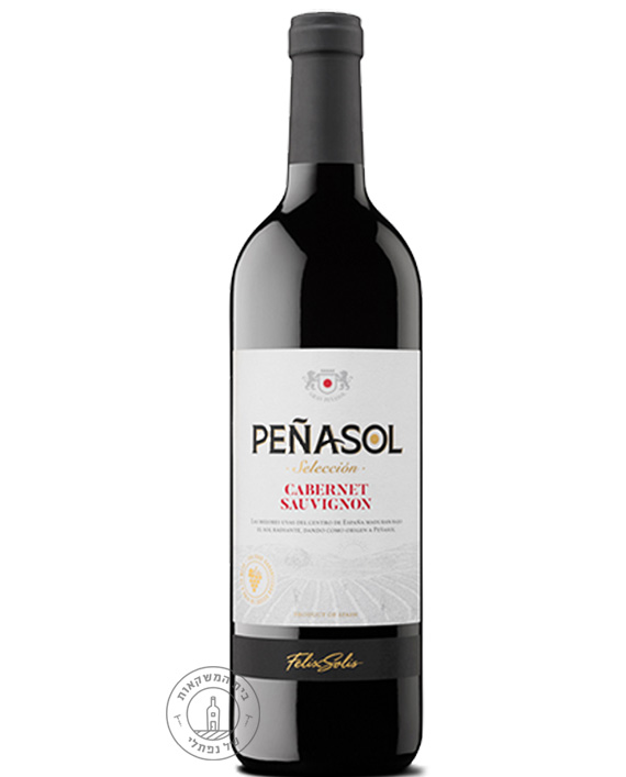 ����� ����� �������� ����� ����� Penasol Seleccion Cabernet Sauvignon