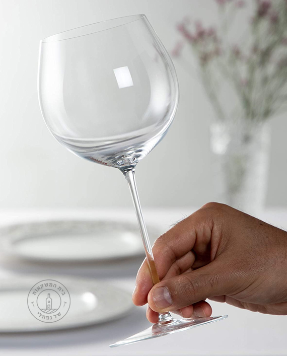 ��� ���� �������� ������ 6425/94 RIEDEL 