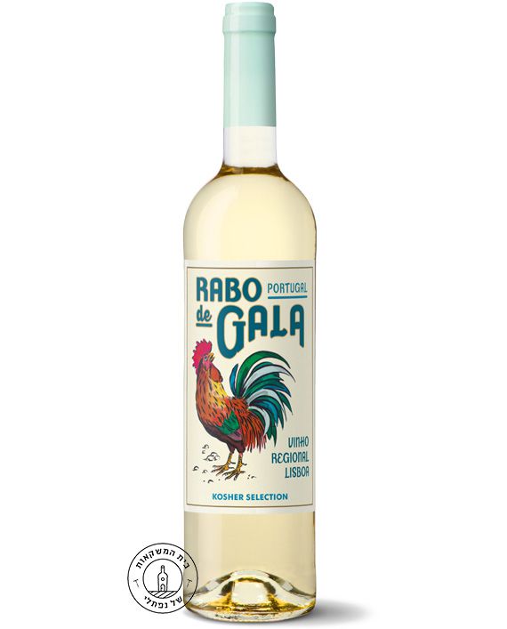 ראבו גאלה לבן כשר פורטוגל ראבו גאלה לבן כשר פורטוגל