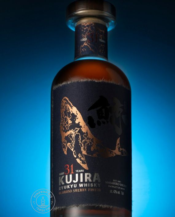 ������ ���� ������ 31 ���� Kujira