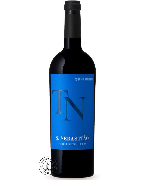 סבסטיאו טוריגה נסיונאל פורטוגל סבסטיאו טוריגה נסיונאל פורטוגל