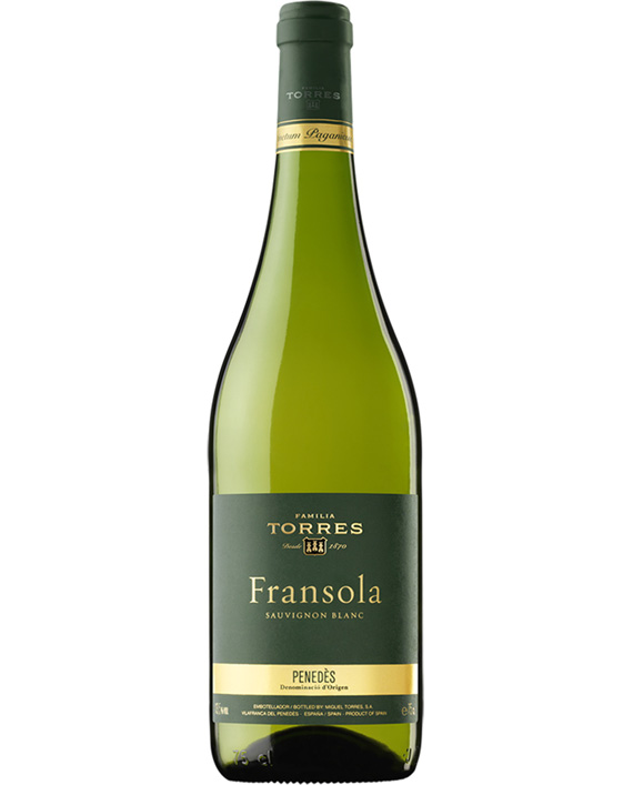 טורס פרנסואלה סוביניון בלאן Torres Fransola Sauvignon Blanc טורס פרנסואלה סוביניון בלאן Torres Fransola Sauvignon Blanc