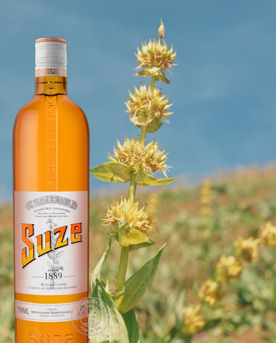 ���� ���� ���� ����� Suze Liqueur