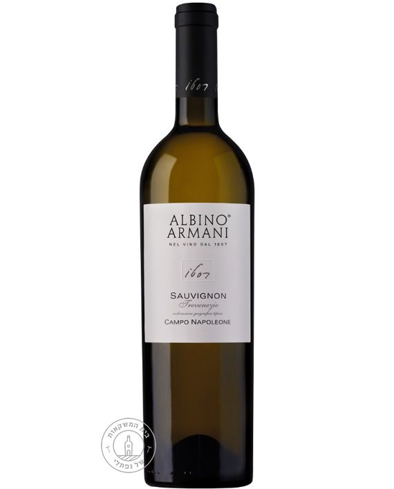 ������ ����� �������� ���� Albino Armani Sauvignon
