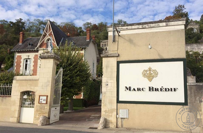 ���� ����� �����