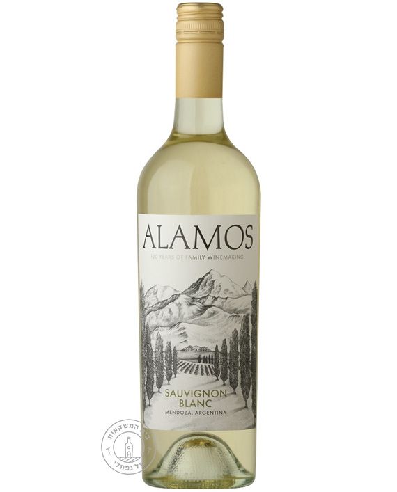 ������ �������� ���� Alamos Sauvignon Blan