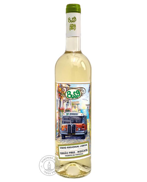 ��� 9 ��� �������  Bus 9 White 