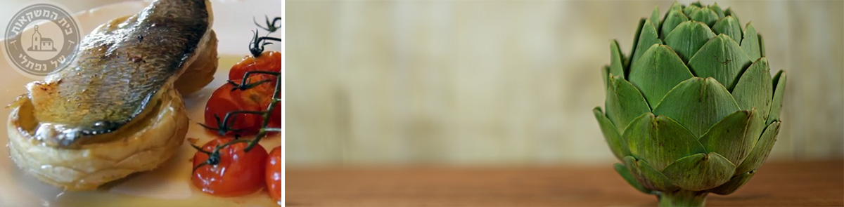 דניס על תחתיות ארטישוק דניס על ארטישוק